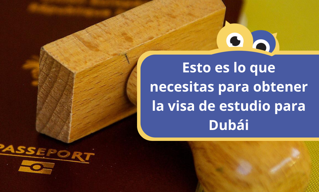 Study visa for Dubai | Everything you need to know